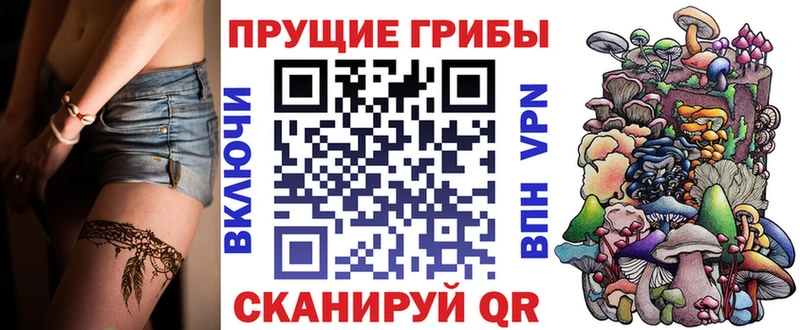 Галлюциногенные грибы Cubensis  дарнет шоп  Новотитаровская 
